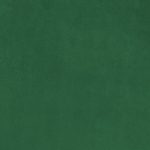 MELON M5 GREEN